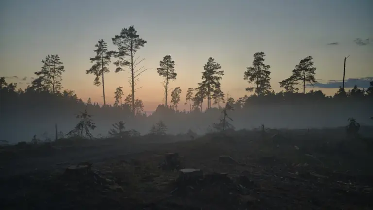 31. juuli ajaloos: Kautla lahingust START I leppeni