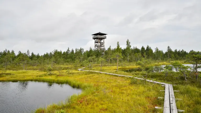 8.–9. august Eestis: kolm paindlikku loodusretke