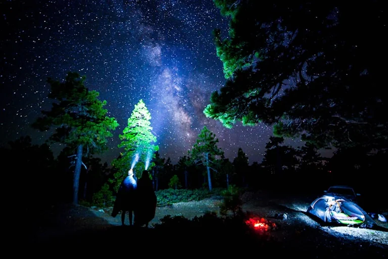 Enne nädalavahetust loodusesse: kontrolli tuleohukaarti