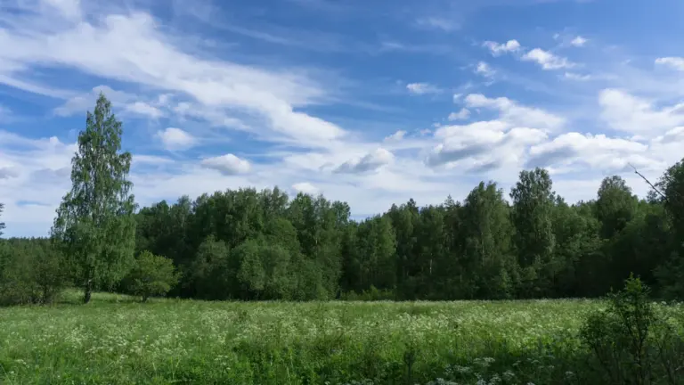 Nädalavahetus 21.–23. augustil: parimad ideed Eestis