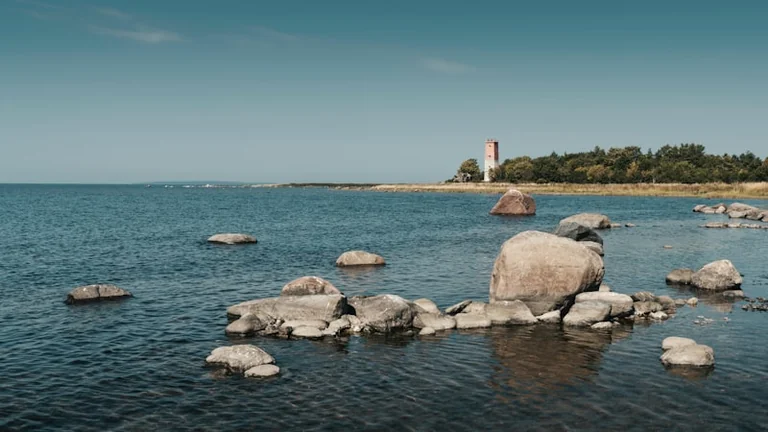 Perseiidid Eestis 2026: vaatluskoht vali enne 12. augustit