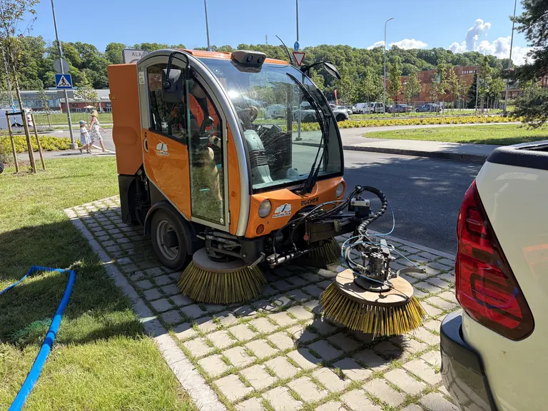 Viimsis sai liigniiske haljak uue rolli tänavahoolduses