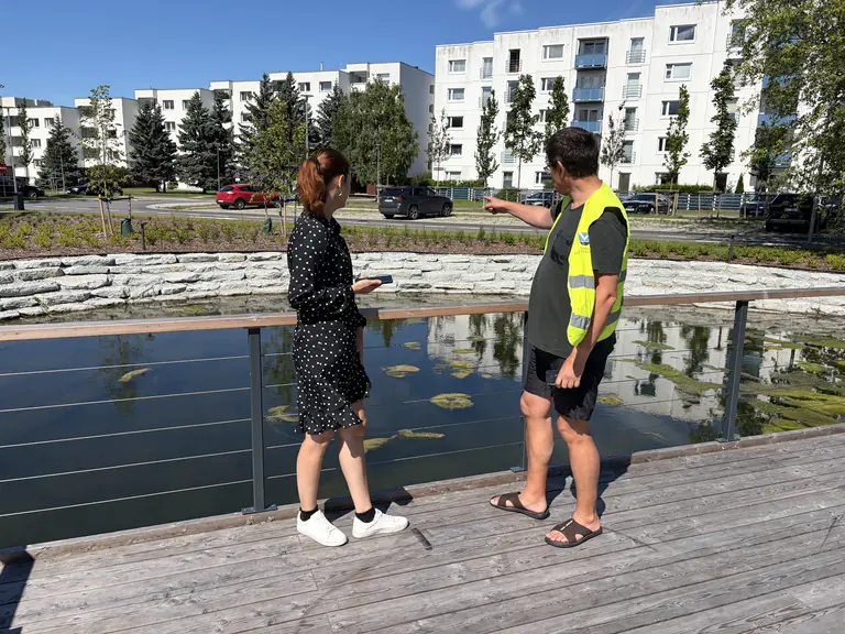 Viimsis sai liigniiske haljak uue rolli tänavahoolduses