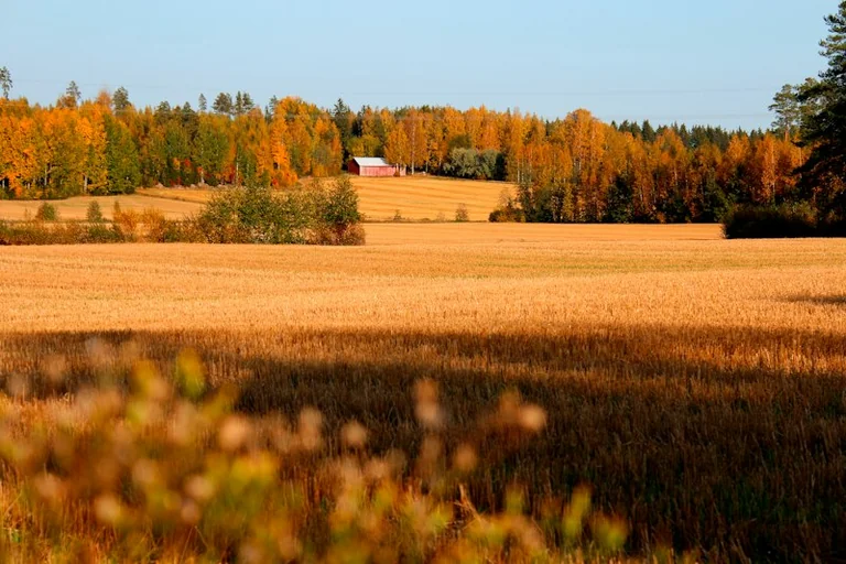 22. september Eesti ajaloos: looduse ja rahvakalendri piir