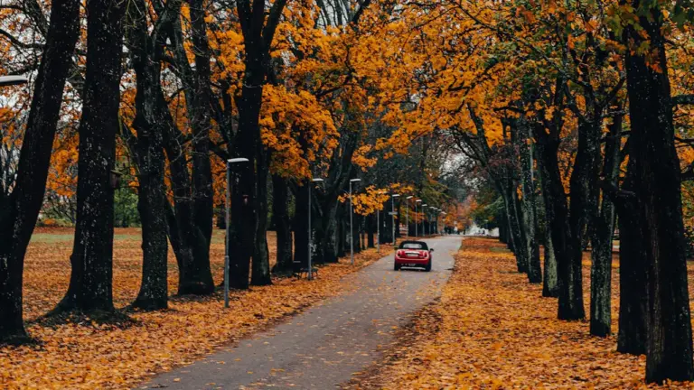 Sügisesel autosõidul kasvab kulu ka ilma kütusehinna muutuseta