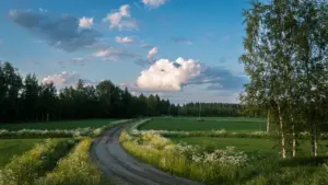 Looduslik Eesti maastik lookleva kruusatee ja roheliste väljadega suvises õhtupäikese valguses.