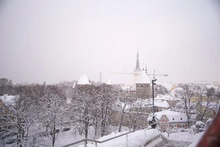 Tallinna ilma kohta kontrolli enne väljasõitu värskeimat prognoosi